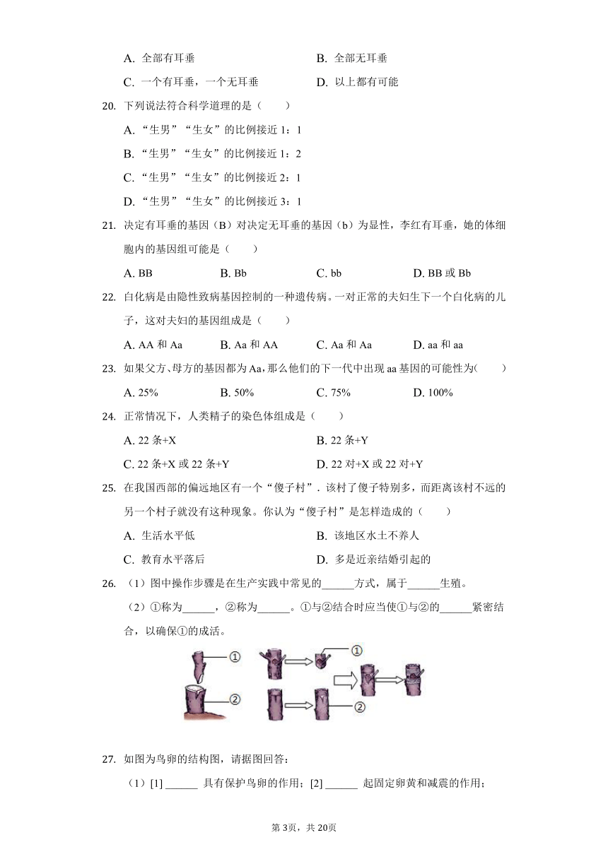 2020-2021学年四川省泸州十中八年级（下）期中生物试卷（word版 含解析）