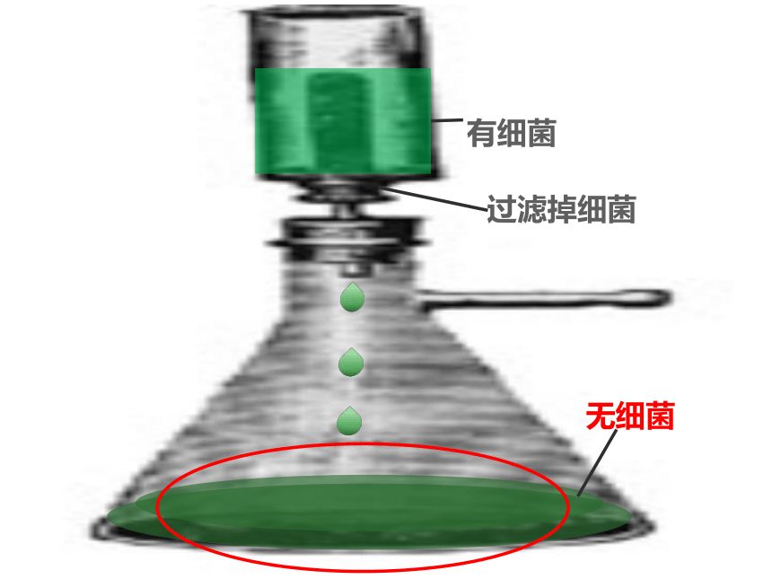 5.5病毒课件(共46张PPT+内嵌视频1个)2023-2024学年人教版生物八年级上册