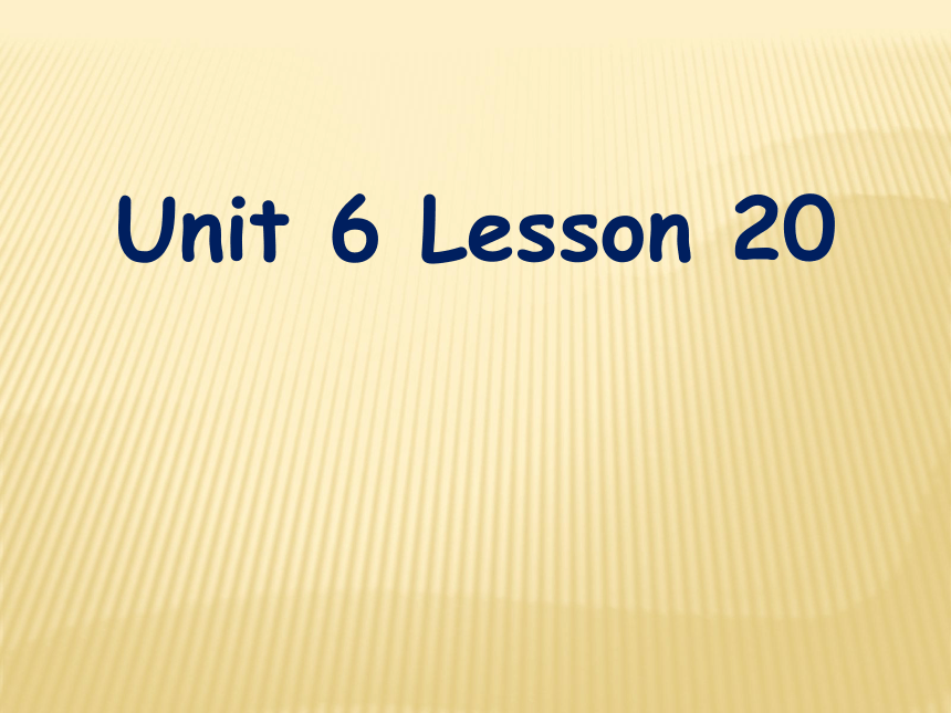 Unit6 Where can I fly the kite？ Lesson20 课件（49张PPT）