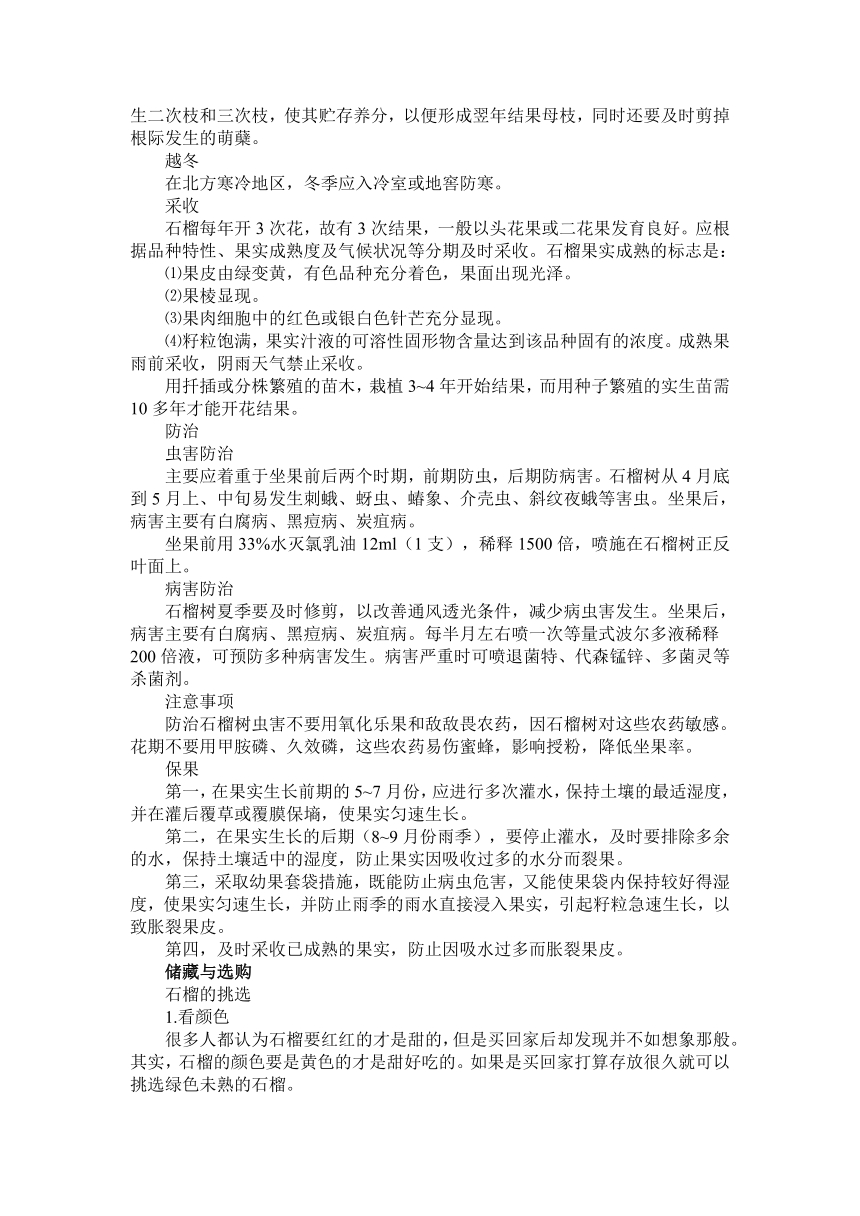 金秋果韵——石榴 教案-2022-2023学年高中劳动技术