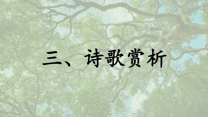 2.1《致橡树》课件(共30张PPT)高教版中职语文基础模块上册