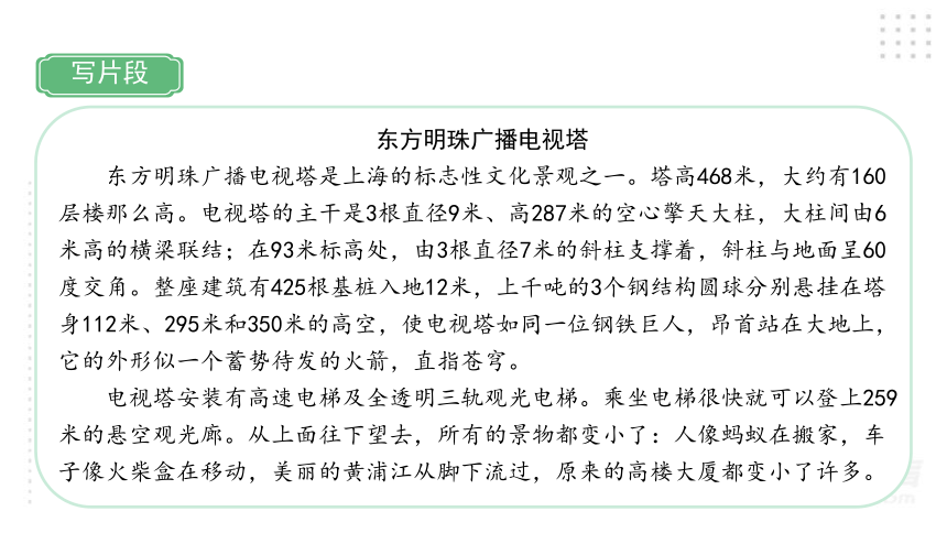 部编版语文五年级上册 习作例文习作：介绍一种事物   课件（42张PPT)