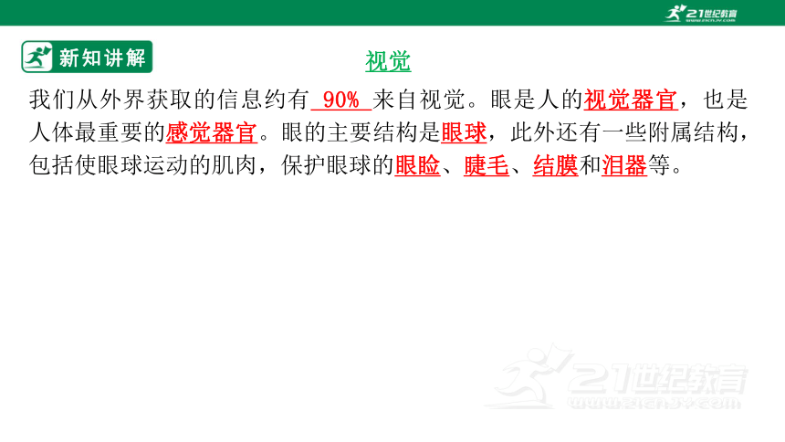 3.5.4 人体对周围世界的感知-2022-2023学年七年级生物下册同步课件（济南版）（含39张ppt）