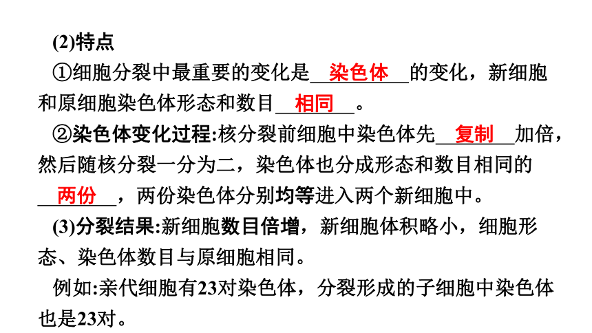 2023年中考生物复习专题课件★★细胞怎样构成生物体