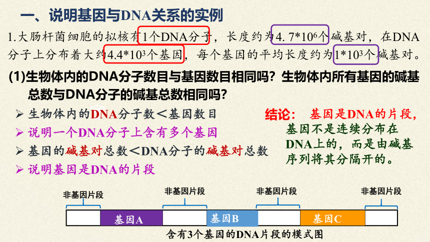 3.4基因通常是有遗传效应的DNA片段课件(共18张PPT)-人教版必修2