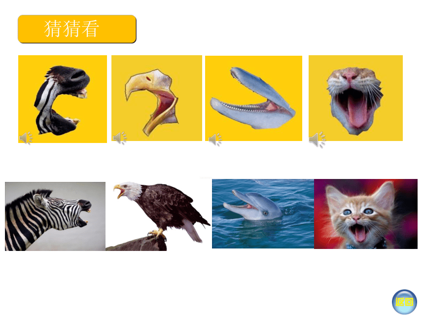 人美版（北京） 一年级下册美术 第6课  动物与我们同行（动物唱歌的模样） ▏课件（31张PPT）