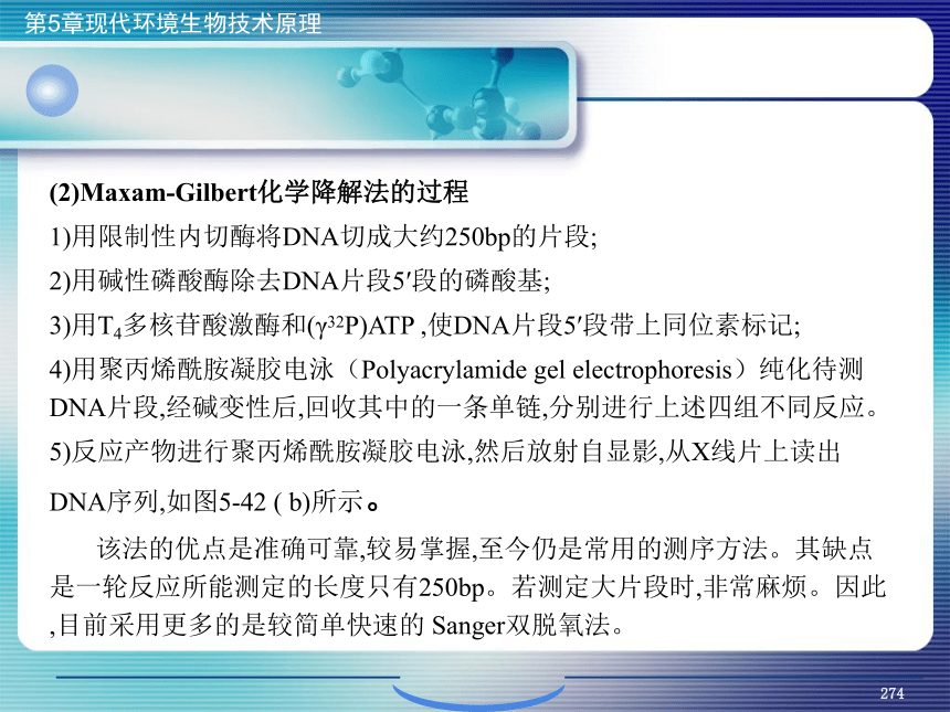 5.现代环境生物技术原理_10 课件(共22张PPT）- 《环境生物化学》同步教学（机工版·2020）