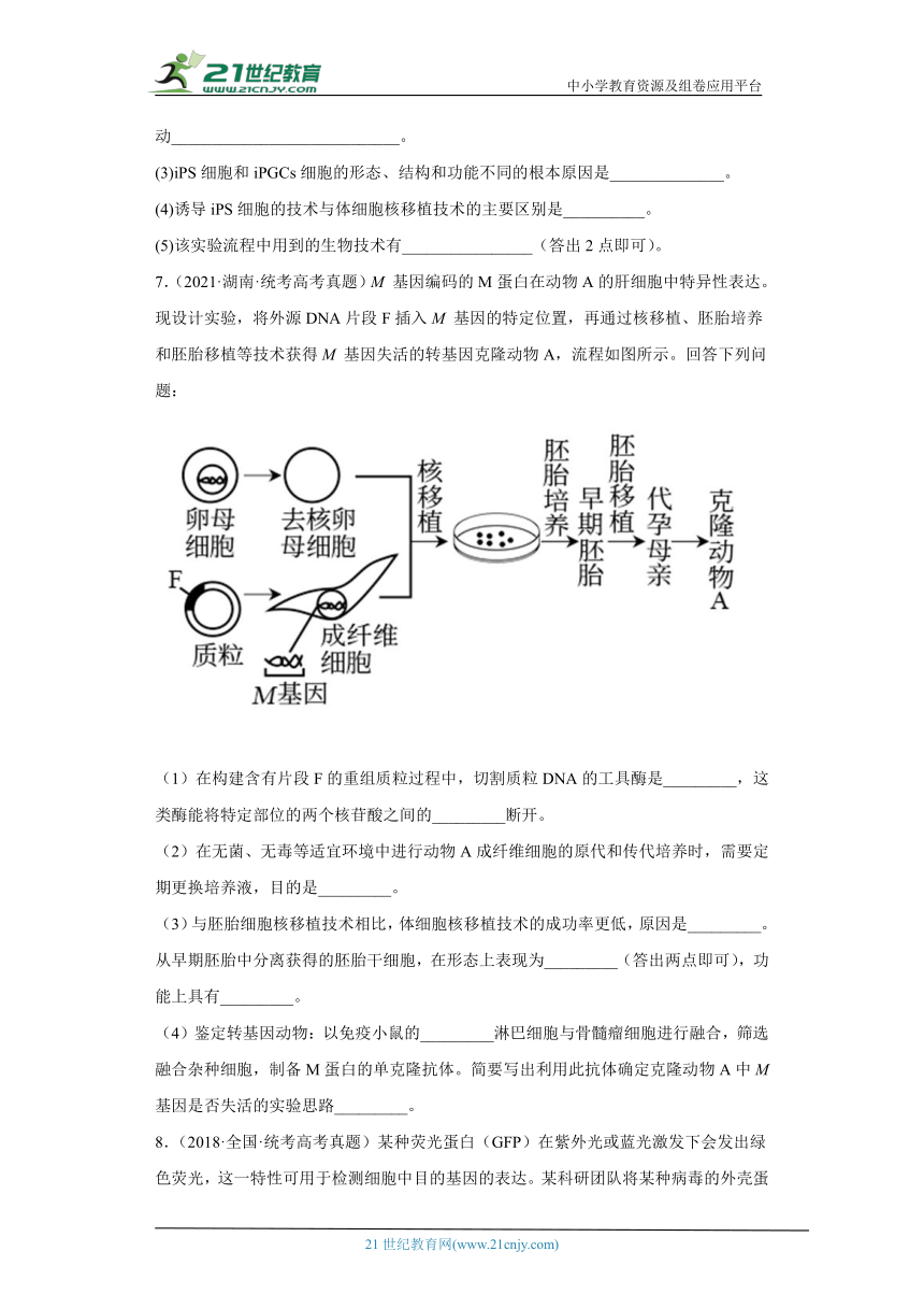 五年2018-2022高考生物真题按知识点分类汇编96-生物技术工程-细胞工程、动物细胞体细胞的核移植技术和克隆动物（含解析）