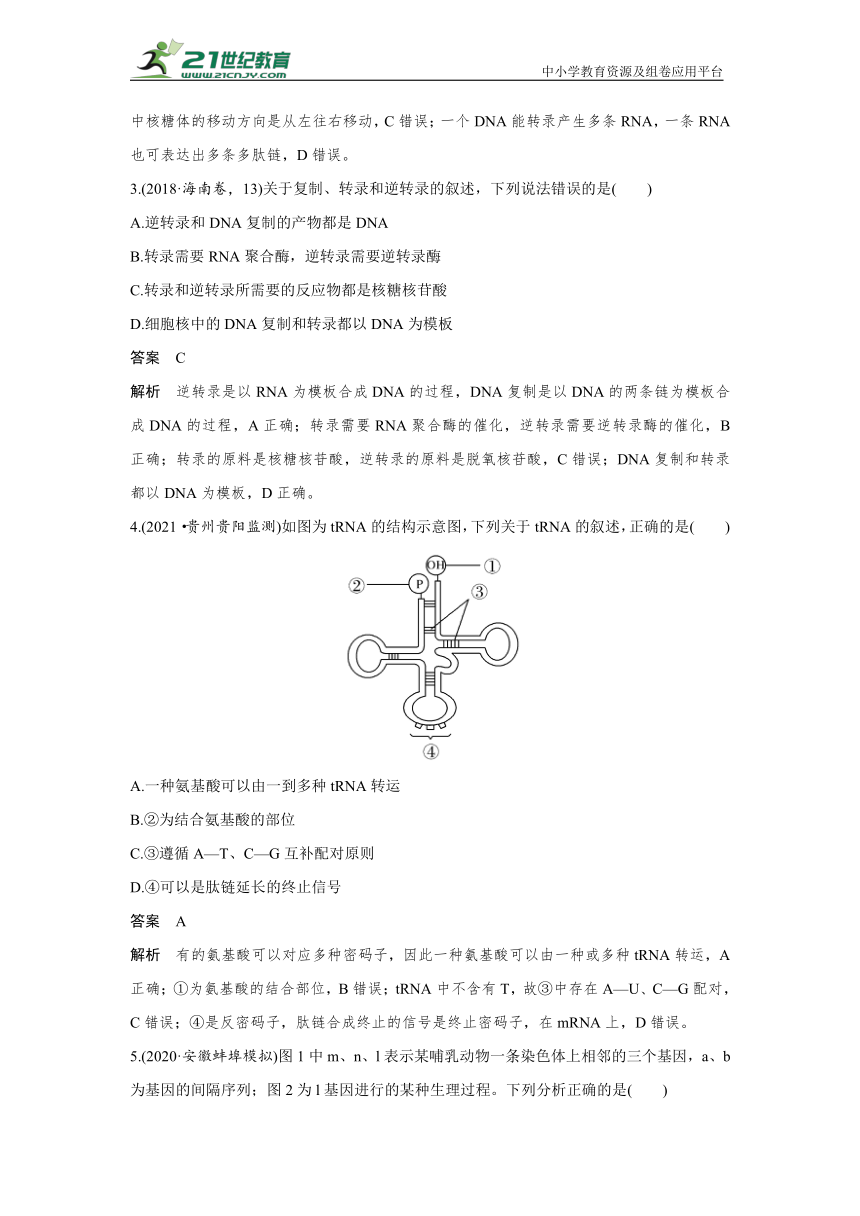 【生物新高考一轮复习】热点微练19　基因表达（word版含解析）