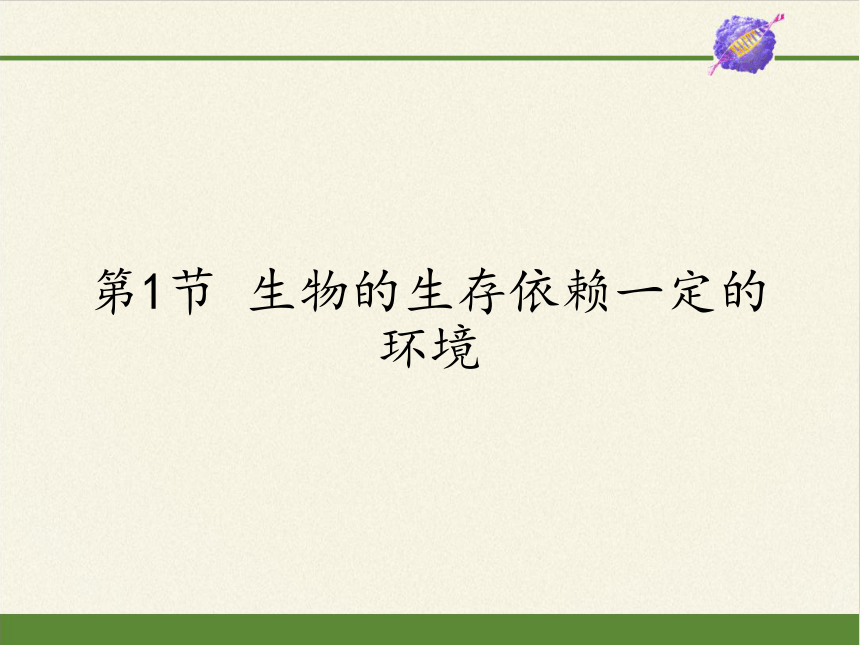 北师大版生物八年级下册 8.23.1 生物的生存依赖一定的环境  课件(共28张PPT)