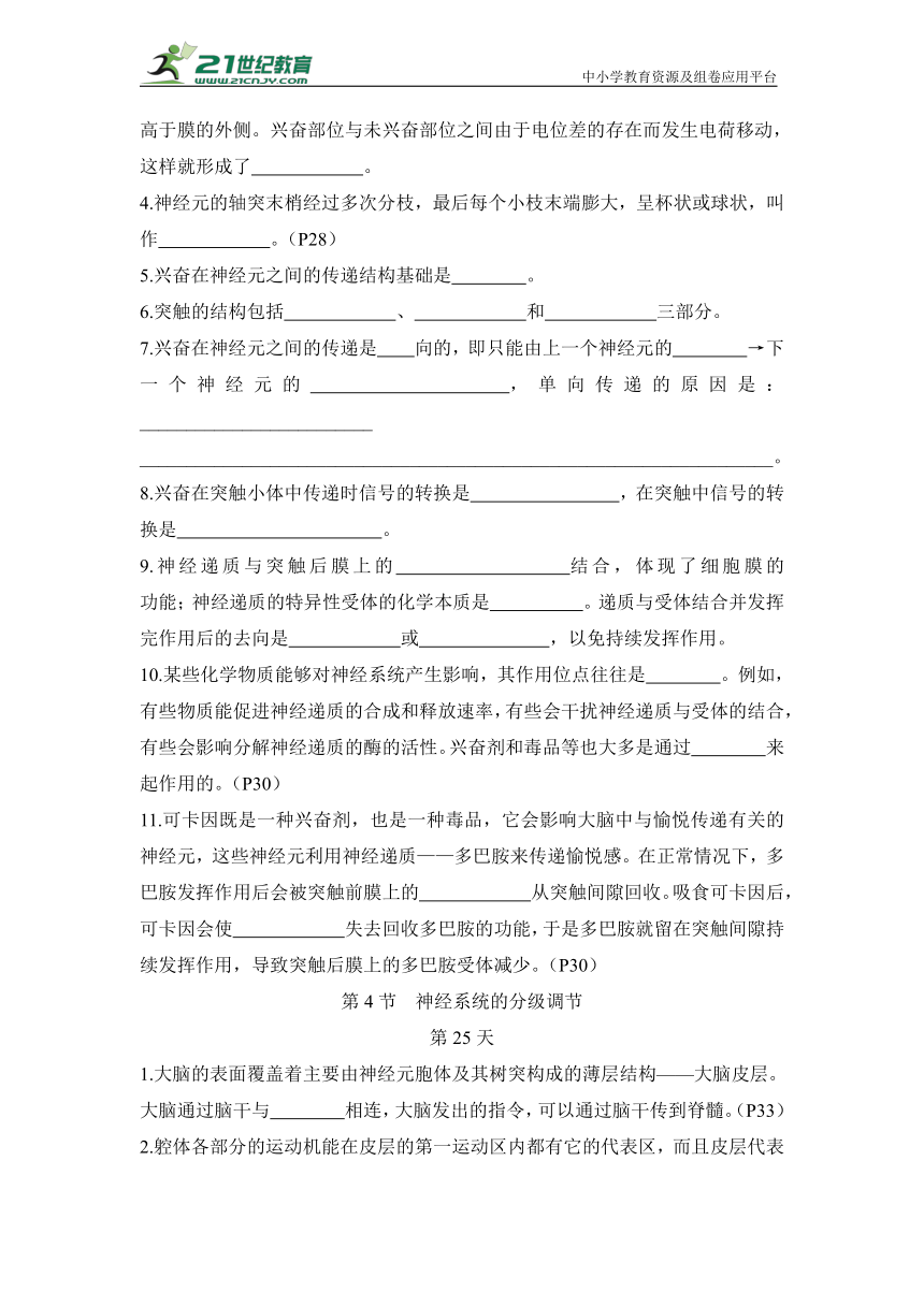 新高考生物晨背晚默：选择性必修1第2章 神经调节