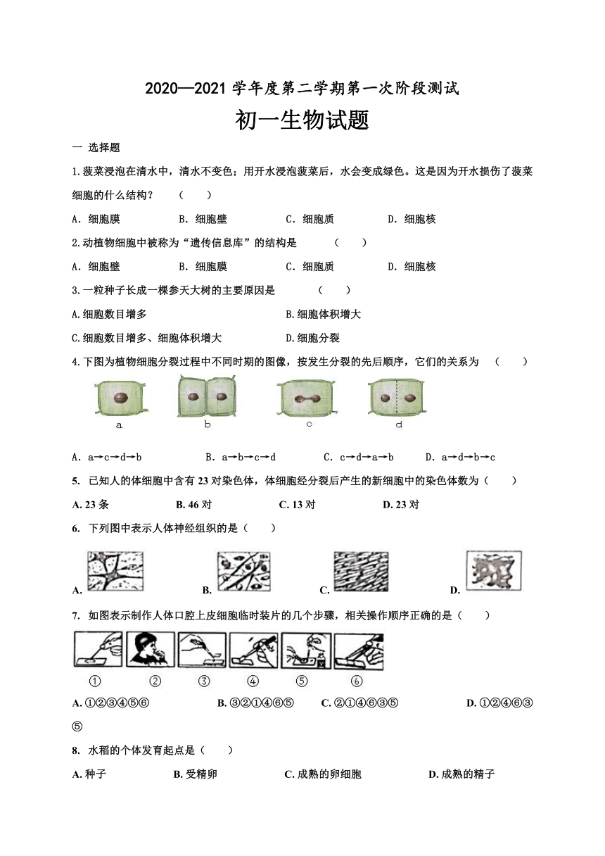 江苏省沭阳县2020-2021学年第二学期七年级生物第一次月考试题（word版，含答案）