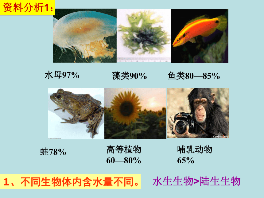 高中生物人教版必修一2.5细胞中的无机物 课件（15张ppt）