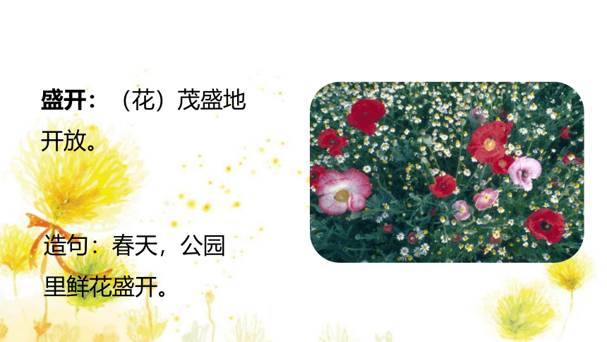 2我多想去看看 课件(共25张PPT)