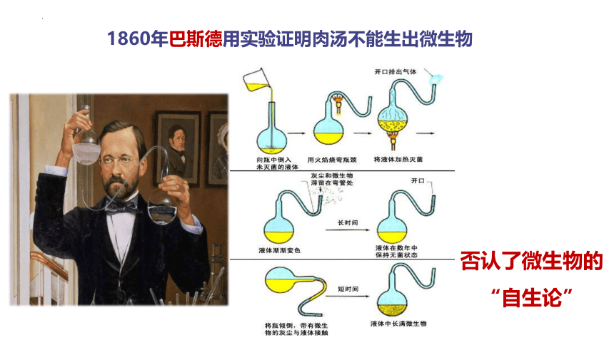 16.1  生命的诞生  课件(共23张PPT)2022-2023学年苏教版生物八年级上册