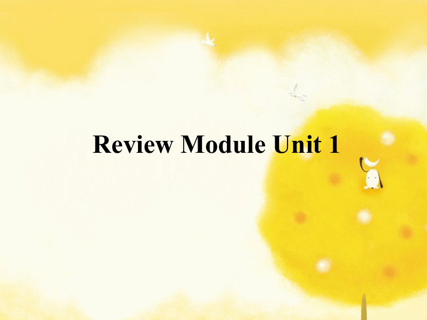 外研版（一年级起点）Review Module Unit 1课件(共20张PPT)