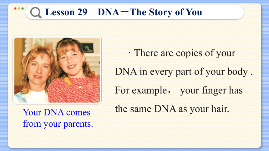 冀教版九年级上册 Unit 5 Lesson 29 DNA—The Story of You 课件（共41张PPT)