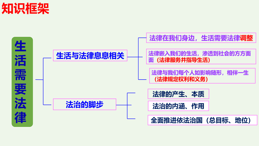 第九课 法律在我们身边复习课件（23张PPT ）