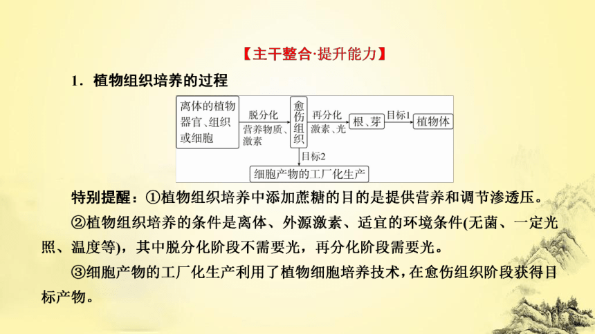 新人教生物二轮复习课件15 细胞工程(课件共62张PPT)