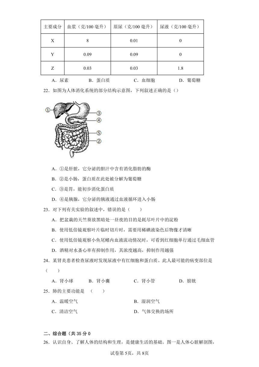 冀少版七年级下期中模拟试卷（二）(含解析)