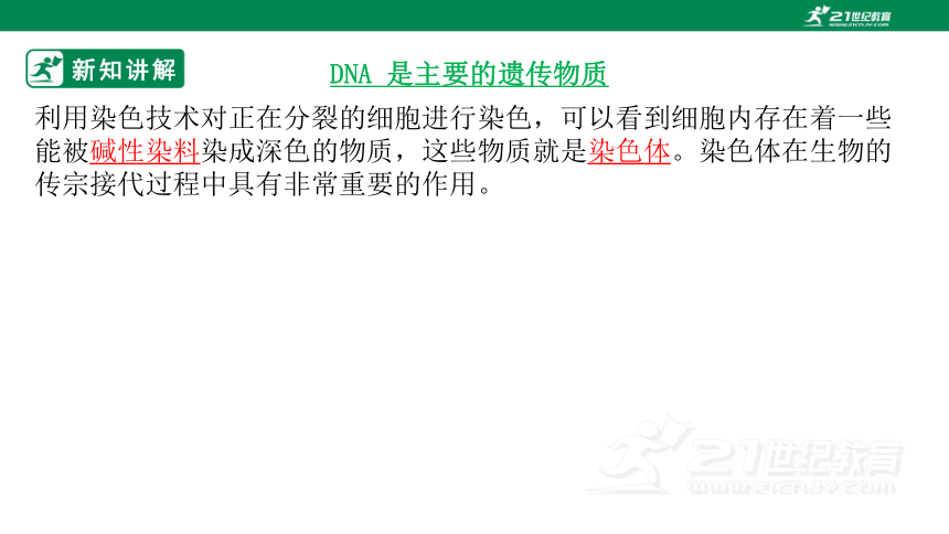 济南版4.4.1 遗传的物质基础-2022-2023学年八年级生物上册同步课件（含30张ppt）