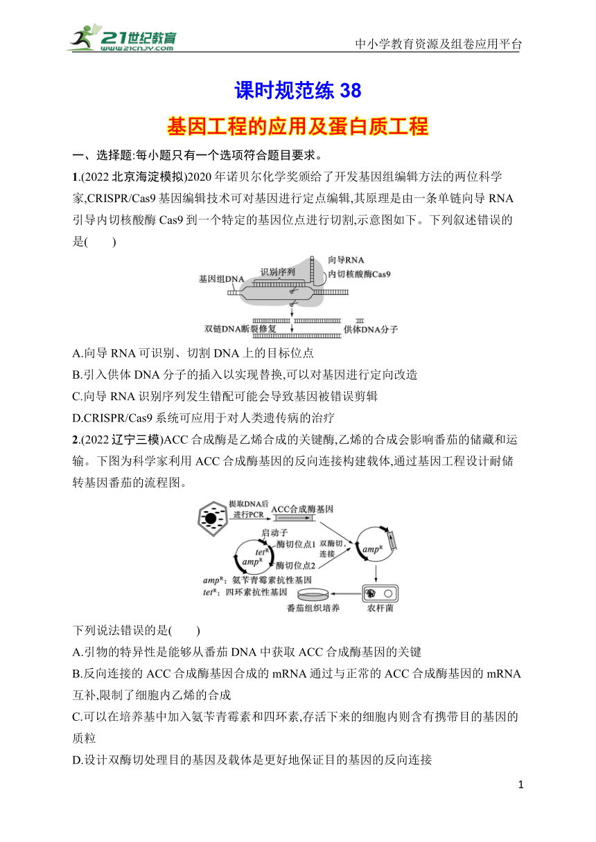 高中生物课时规范练38　基因工程的应用及蛋白质工程(学生版含答案详解)