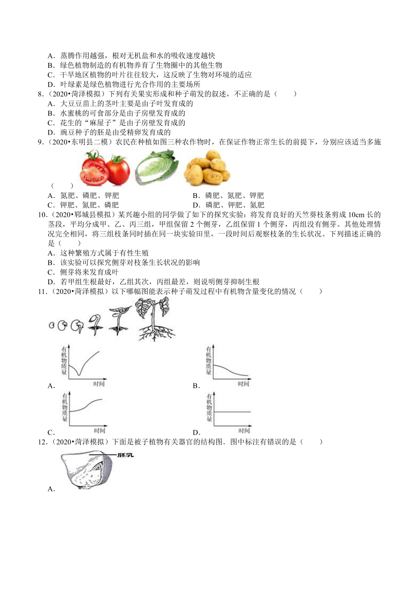 2018-2020年山东中考生物各地区模拟试题分类（菏泽专版）（3）——绿色植物（word版含解析）