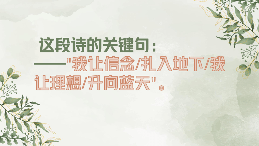 2022年中考语文二轮复习  “树的哲学”作文指导  课件(共19张PPT)