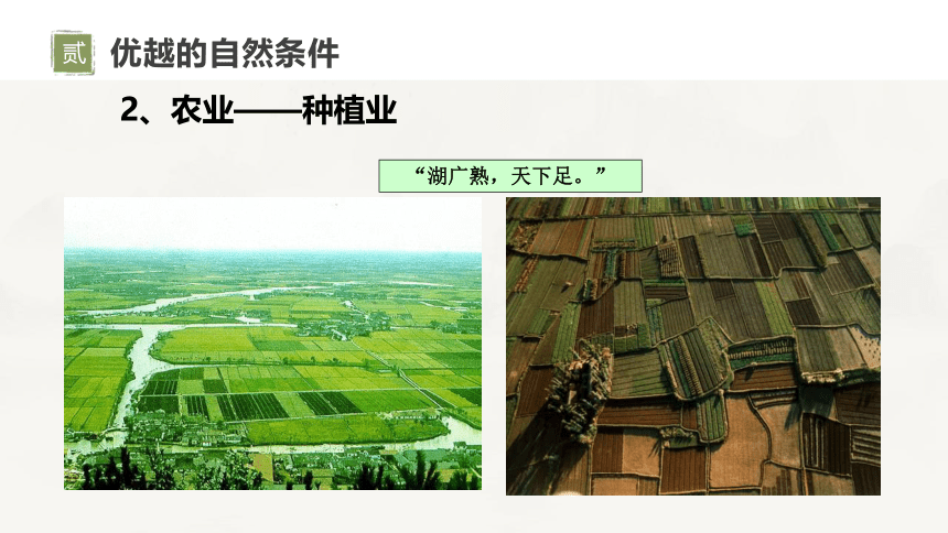 7.6《长江中下游平原》课件2020-2021学年初中地理中图版七年级下册（共24张PPT）(WPS打开）