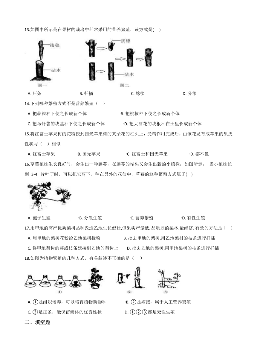 7.3植物的无性生殖 同步练习（word版，含答案）