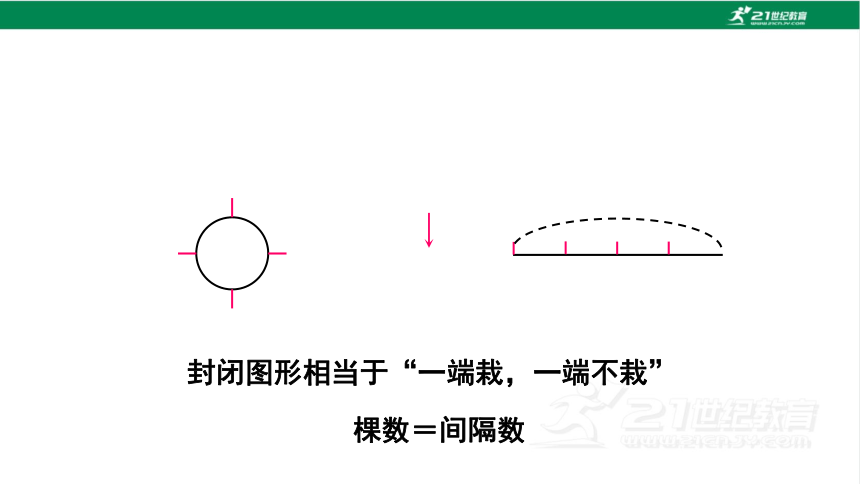 新人教版数学五年级上册7.3.植树问题（3）课件(23张PPT)