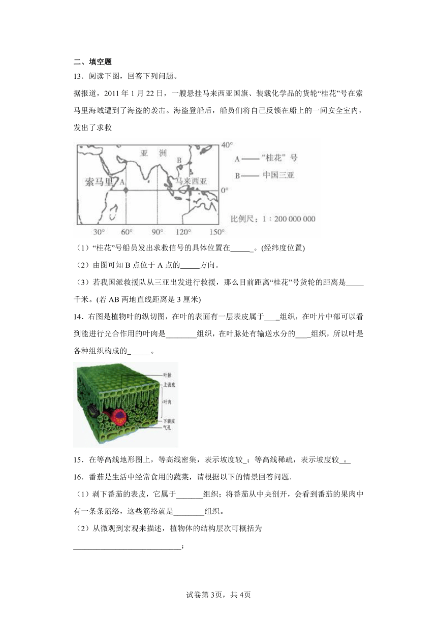 第五章 地球 同步训练  华东师大版科学七年级上册（含解析）