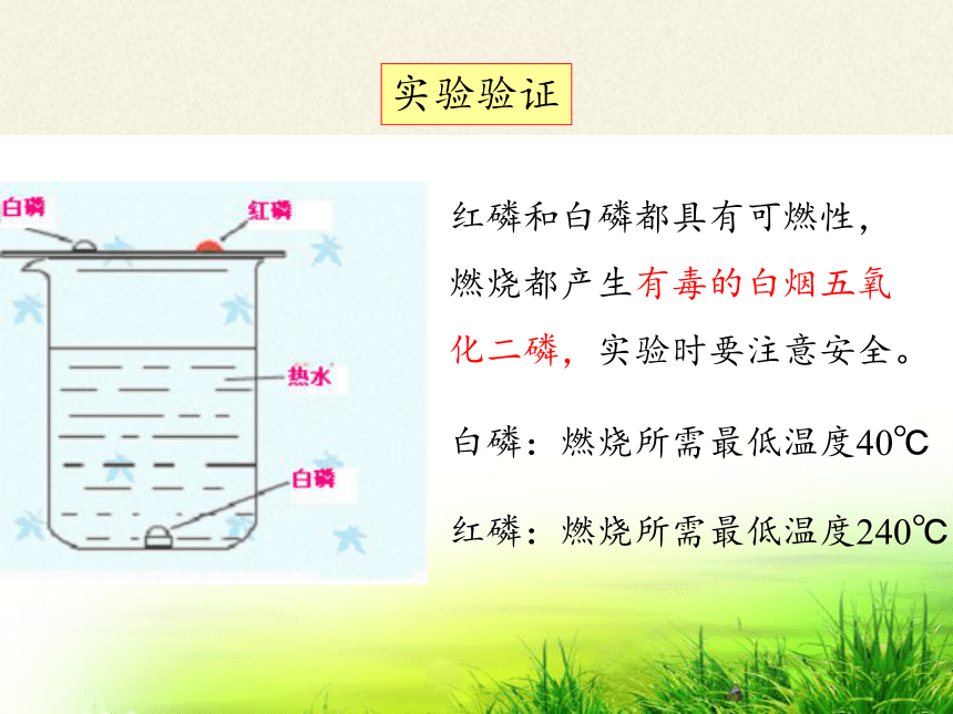 人教版（五四制）八年级全一册化学 第七单元  实验活动3 燃烧的条件 课件 (共15张PPT)