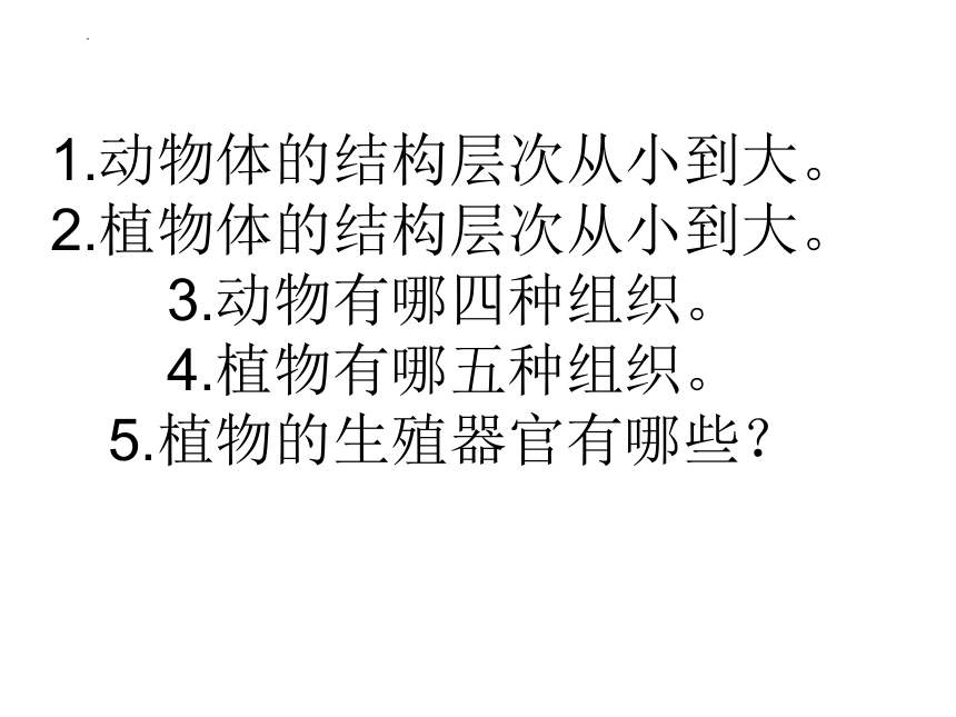 2.2.4单细胞生物课件(共19张PPT)2022--2023学年人教版生物七年级上册