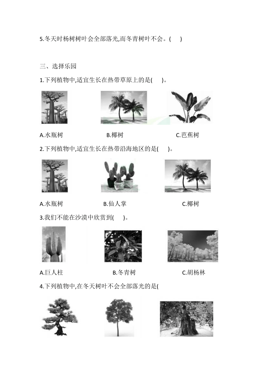 苏教版（2017秋）三年级下册2.5 不同环境里的植物 一课一练（含答案）