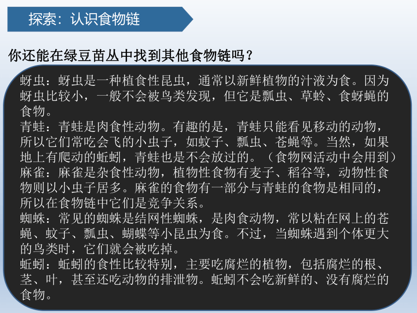 教科科学五下1.6食物链和食物网 课件(共24张PPT)