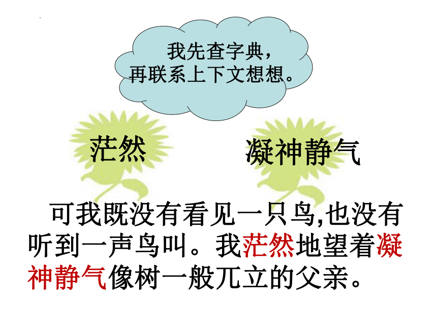 23.《父亲、树林和鸟》课件(共37张PPT)