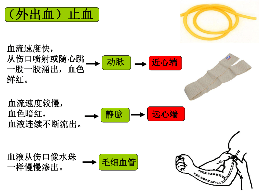 苏科版 八下  25.2 关注家庭生活安全 课件（15张PPT）