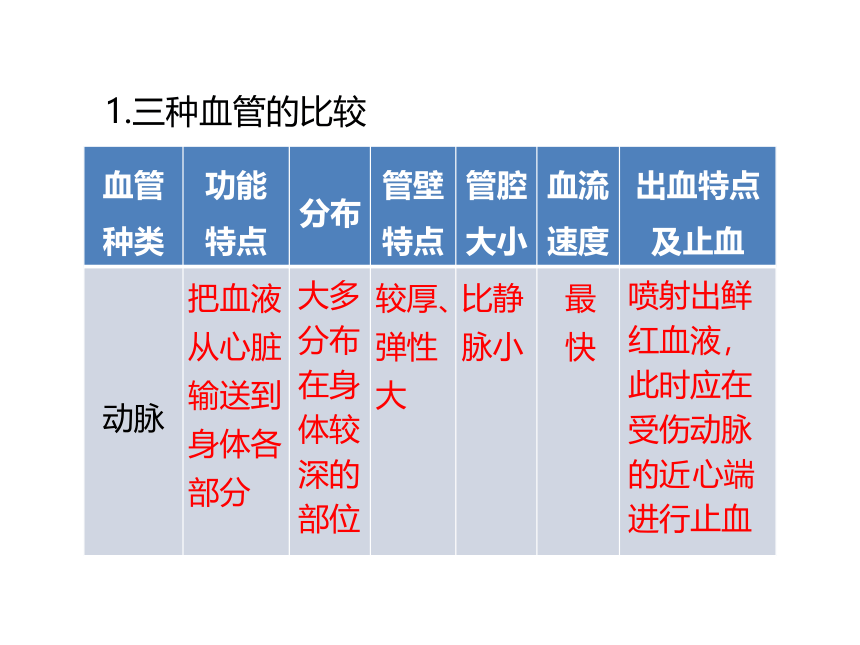 4.4.2 血流的管道──血管课件（28张ppt）