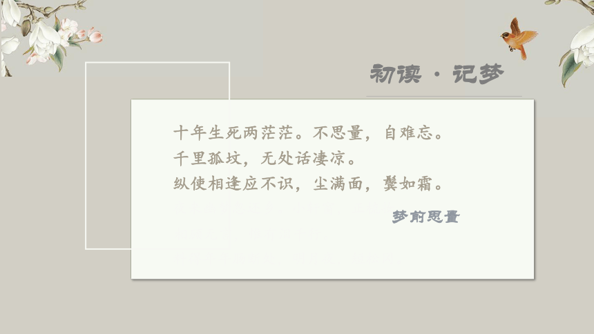 古诗词诵读《江城子》课件(共43张PPT) 2022-2023学年统编版高中语文选择性必修上册