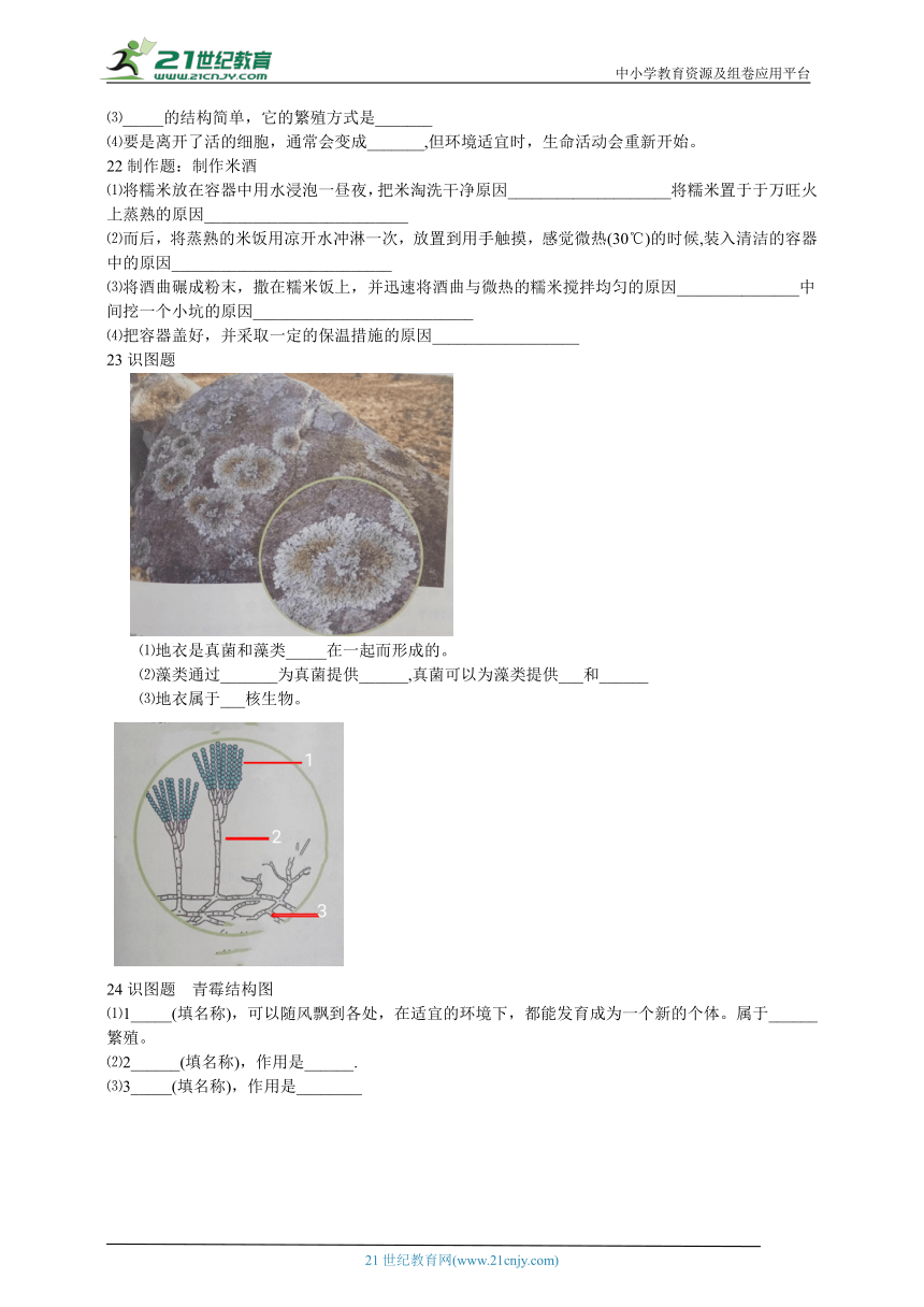 人教版生物八年级上册 第四、五章检测题（含答案）