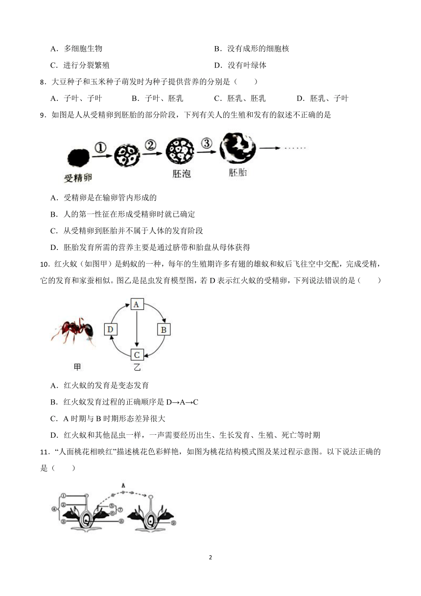 初中科学华师大版七年级下册 期末专题训练 生物综合（含答案解析）