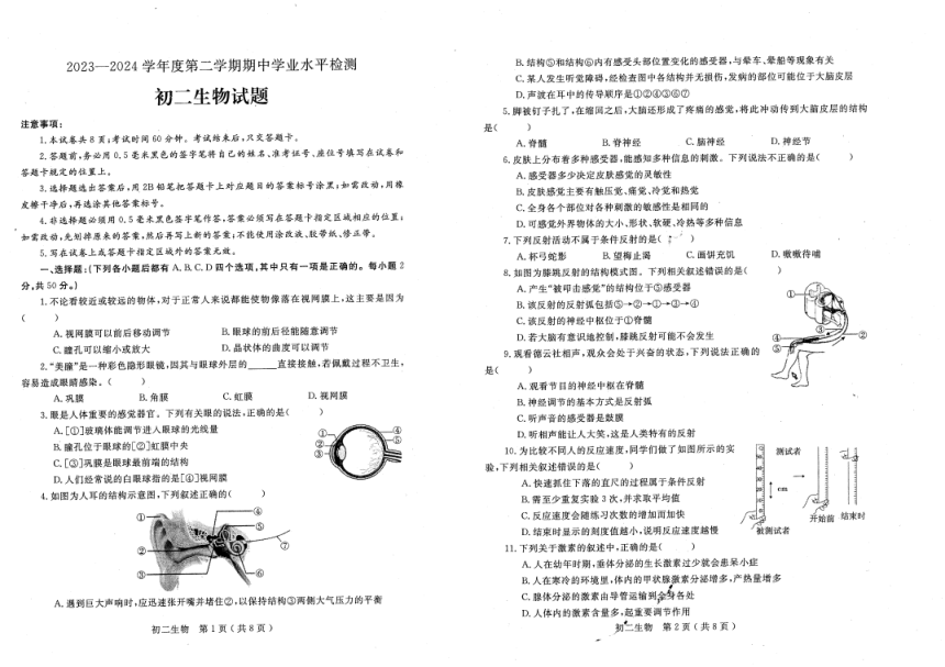 山东省烟台市莱州市2023-2024学年七年级下学期4月期中生物试题（PDF版无答案）