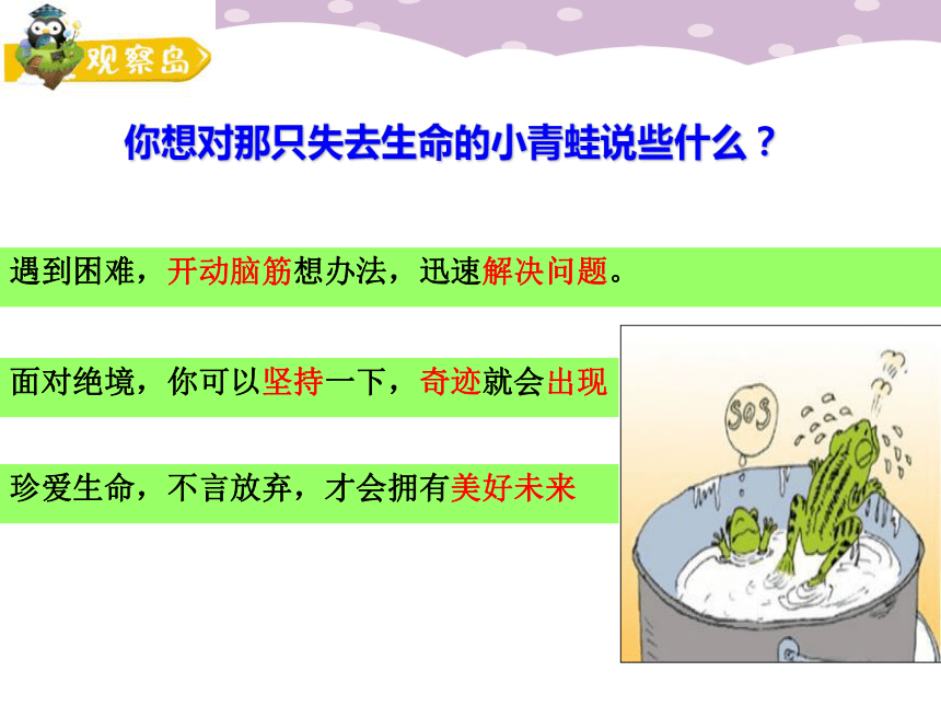 鄂科版六年级心理健康 4.生活真美好 课件（14张）