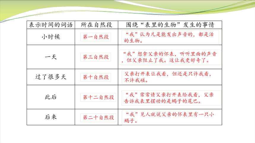 课文16 表里的生物  第一课时课件  (共23张PPT)