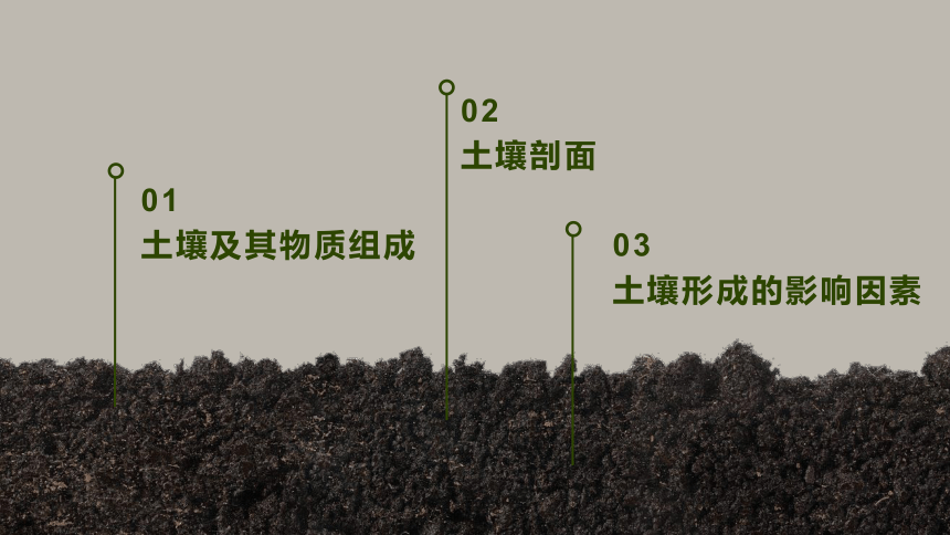 2.6土壤的主要形成因素(29张PPT)