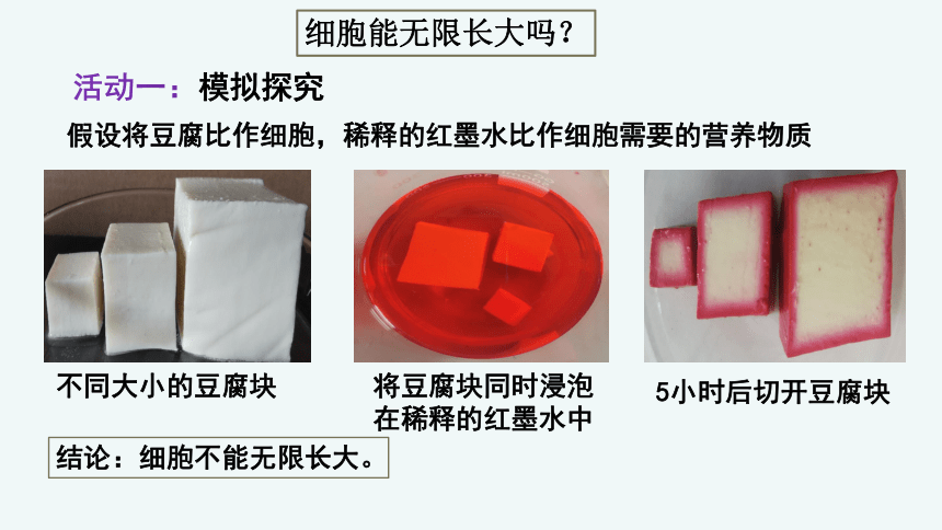 人教版 第二单元 第二章 第一节 细胞通过分裂产生新细胞  课件（共25张PPT ）