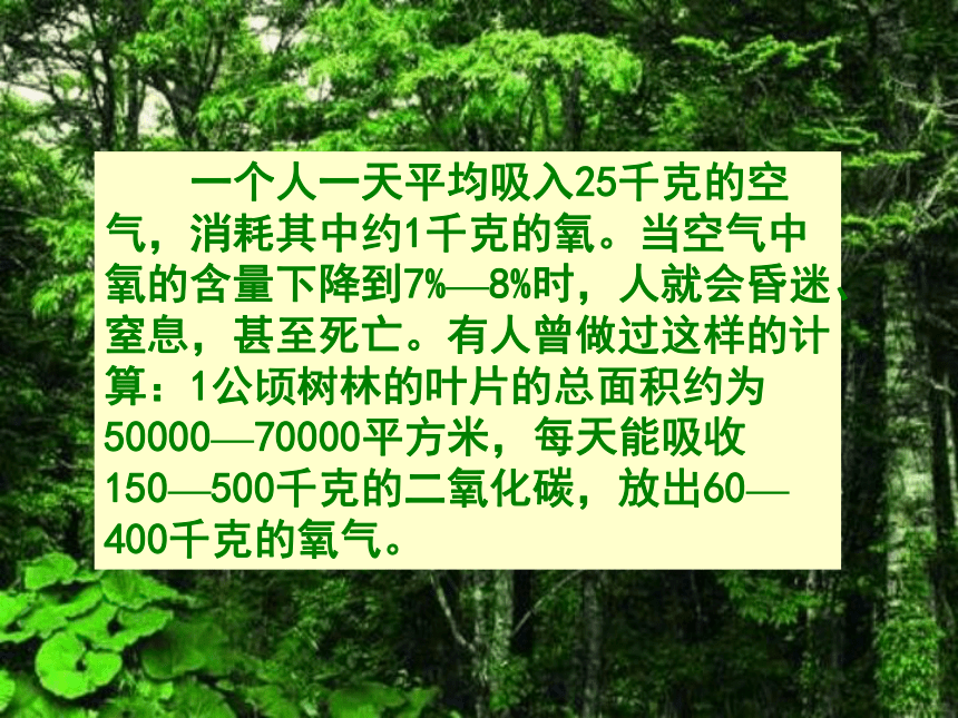 第二节 绿色植物与生物圈的物质循环 课件（39张PPT）