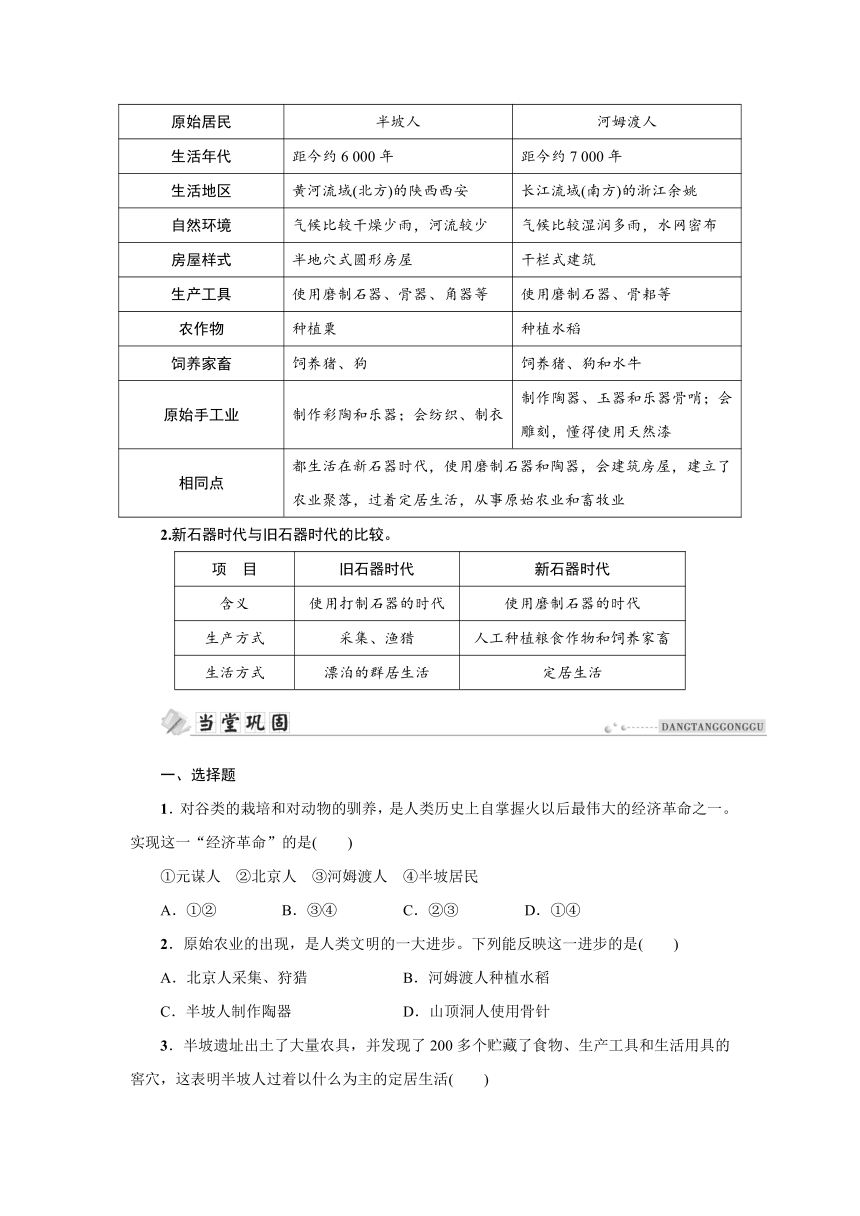 第2课 原始农耕生活 同步学案（含答案）