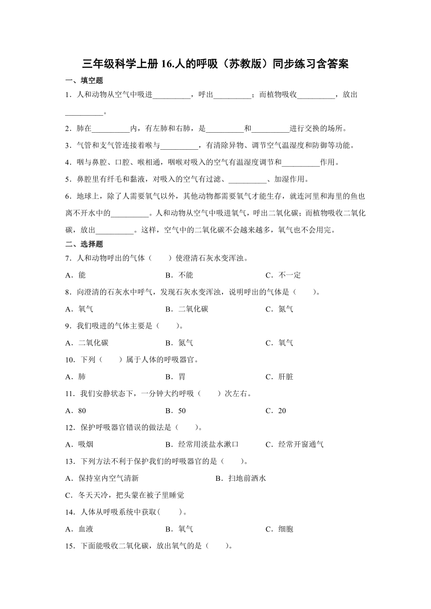 三年级科学上册16.人的呼吸（苏教版）同步练习含答案